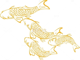 游动的锦鲤矢量图