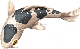 矢量锦鲤动物素材图