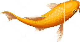 黄色鲤鱼矢量素材图