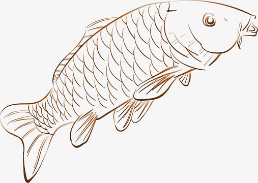 素材图png卡通可爱鲤鱼矢量图epspng海洋动物矢量鲤鱼图png手绘海洋
