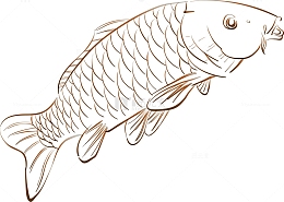 创意矢量锦鲤素材图