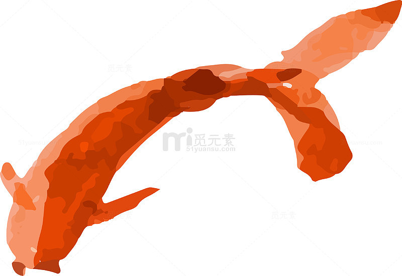 海洋动物鲤鱼素材图