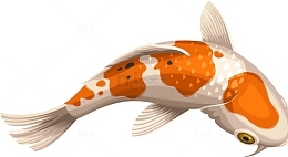 卡通矢量锦鲤素材图