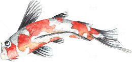 水墨海洋生物锦鲤图