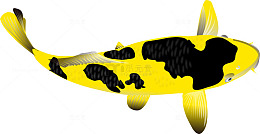 黄色卡通鲤鱼素材图