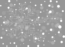 白色冬季雪花