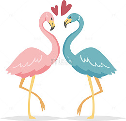 相爱甜蜜的火烈鸟