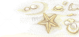 创意沙画黄色海星