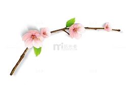 春天桃花树枝