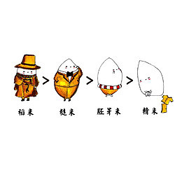 手绘稻米到精米的过程