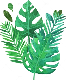 大叶植物装饰图案  