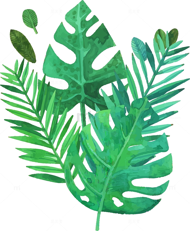 大叶植物装饰图案  