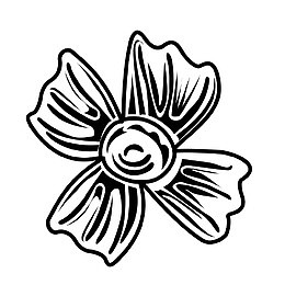 黑白花卉 黑白线条