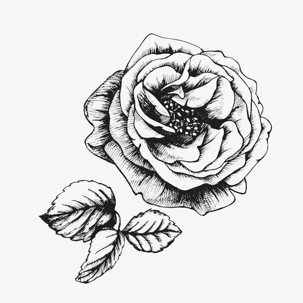 手绘卡通插画花矢量