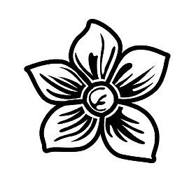 黑白圆形线条花花朵