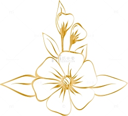 创意矢量鲜花花朵线条图