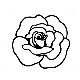 线条玫瑰花矢量免抠图