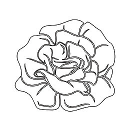 白色线条花矢量图