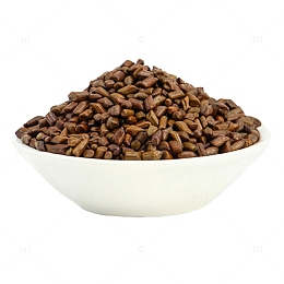 产品实物保健决明子茶