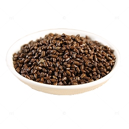 产品实物保健决明子茶