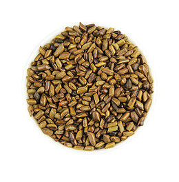 产品实物优质决明子茶