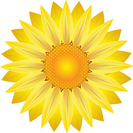 卡通矢量黄色花朵图