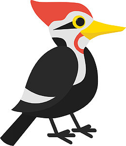 卡通黑色优雅啄木鸟