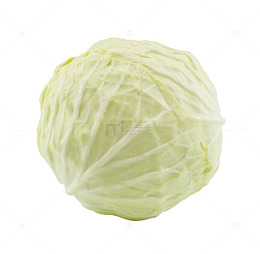 新鲜圆白菜