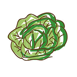 矢量绿色包菜手绘装饰