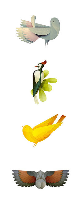 剪纸鸟