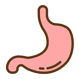 粉色手绘胃人体器官图标