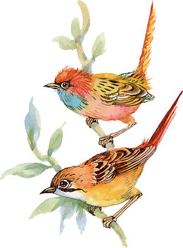 准备起飞的矢量小鸟