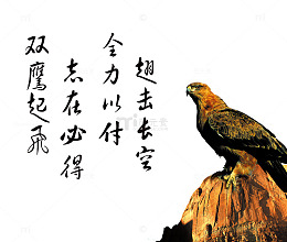 展板素材鹰击长空