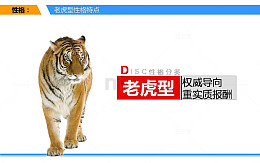 老虎型权威向导