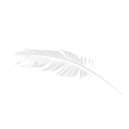 免扣白色飘落羽毛素材