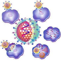 细胞分子生物示意图