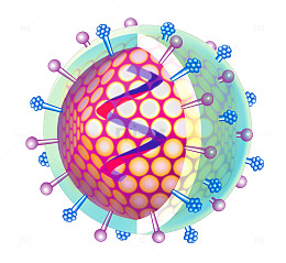 生物细胞分子细胞示意图