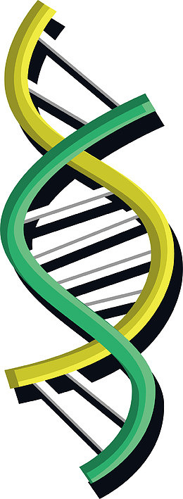 黄绿色生物分子