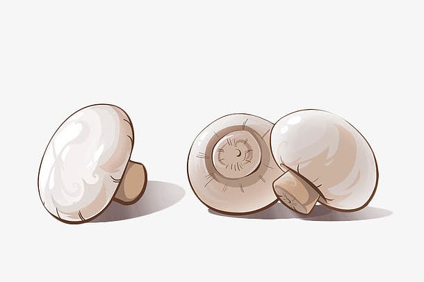 白色手绘蘑菇