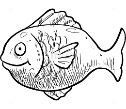 手绘素描鱼png