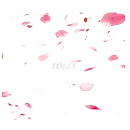 飘落樱花花瓣设计元素