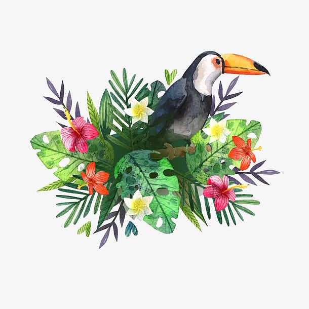 创意夏威夷大嘴鸟和花卉矢量图