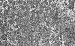 点状金属腐蚀效果纹理