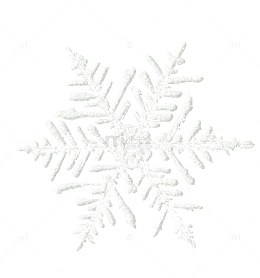 透明白色晶莹的雪花