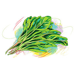 手绘蔬菜图标