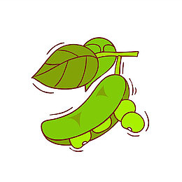 豌豆插画