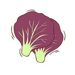 紫色的菜