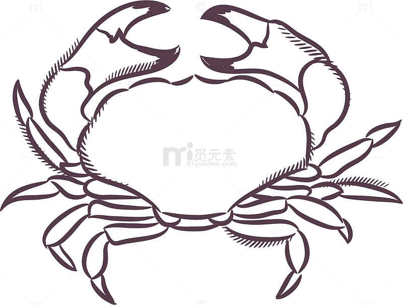 素描白色螃蟹