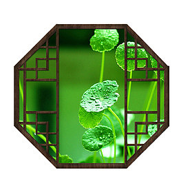 谷雨浅绿色小清新宣传海报