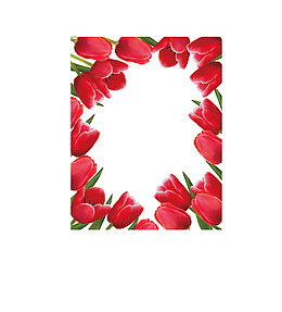 郁金香矢量图